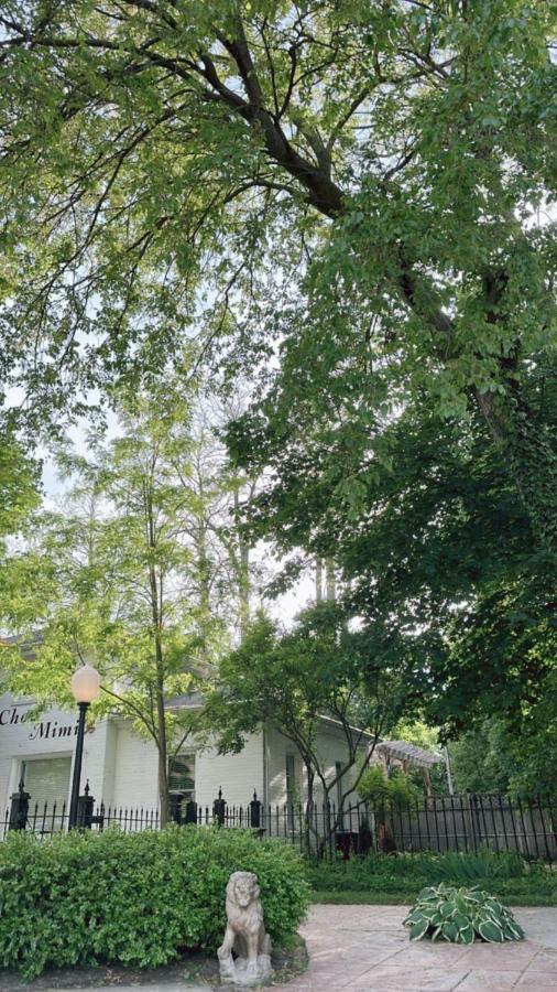 The Ginkgo Tree Bed & Breakfast Mount Pleasant Luaran gambar