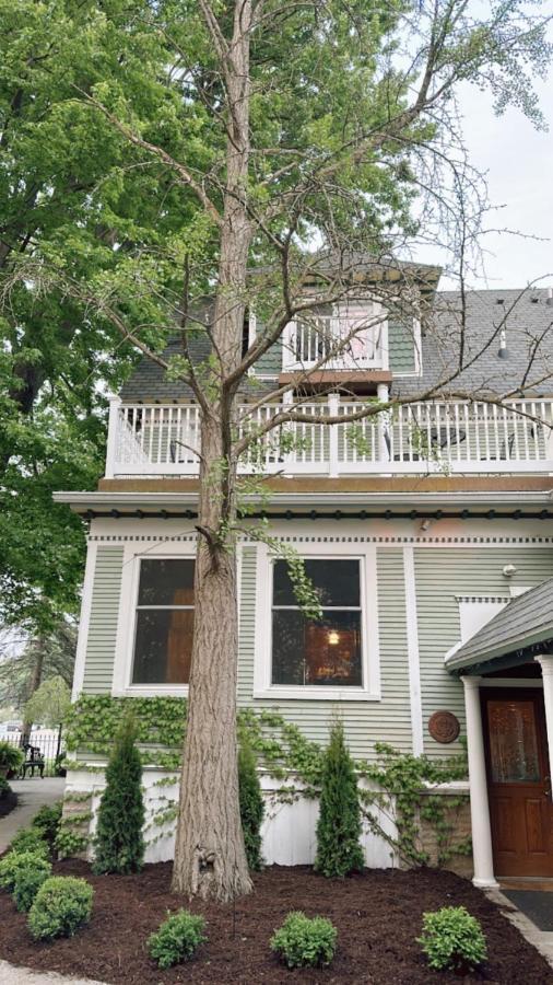 The Ginkgo Tree Bed & Breakfast Mount Pleasant Luaran gambar