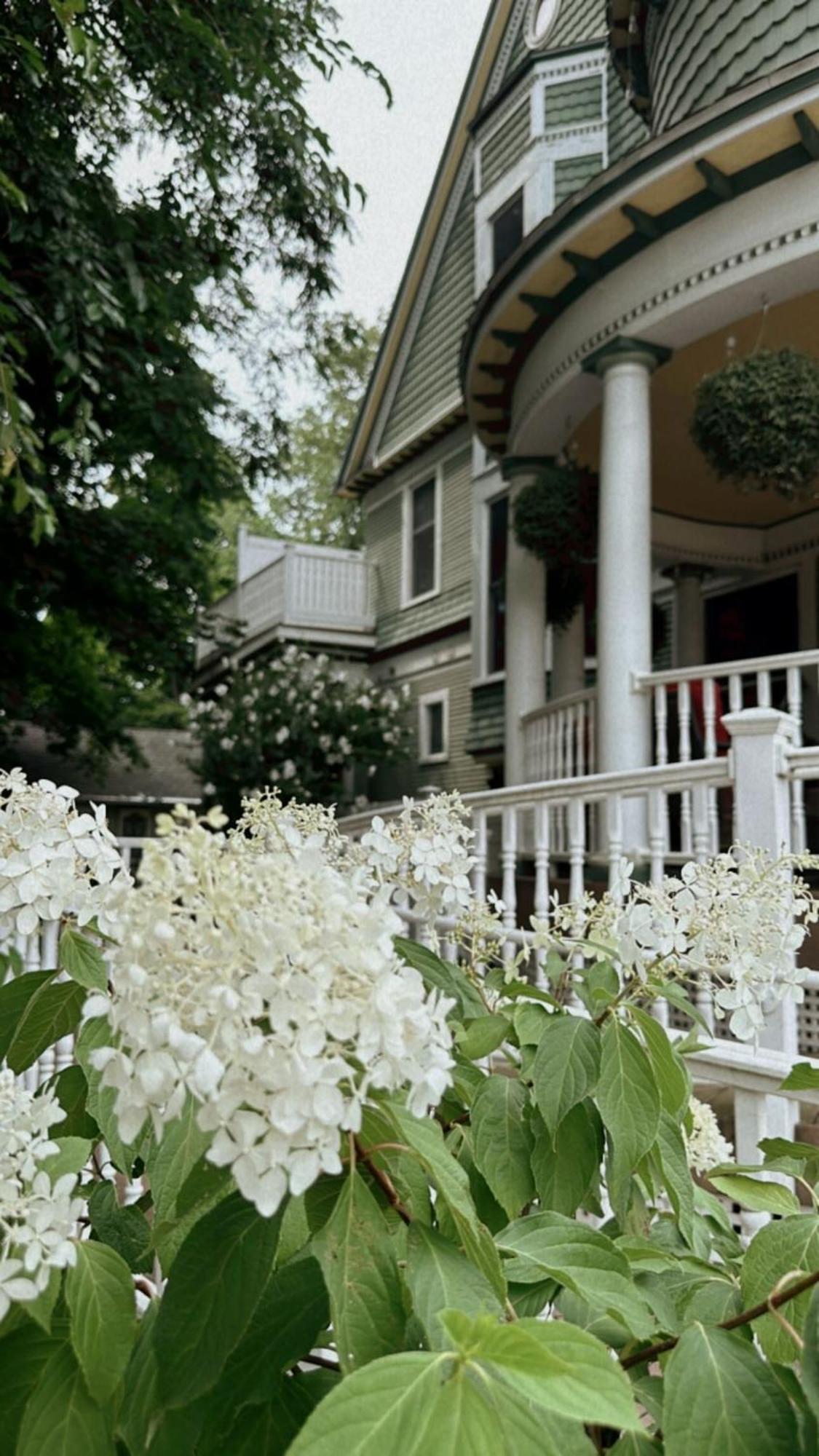 The Ginkgo Tree Bed & Breakfast Mount Pleasant Luaran gambar